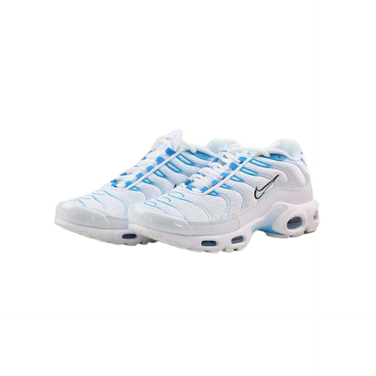 Nike Air Max Plus Blue Fury